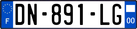 DN-891-LG