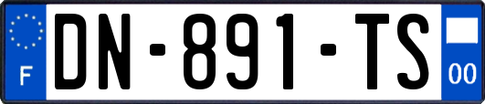DN-891-TS