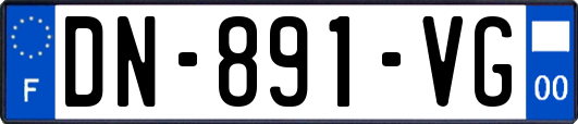 DN-891-VG