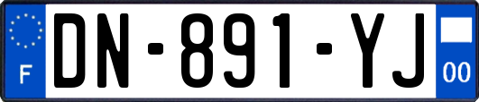 DN-891-YJ