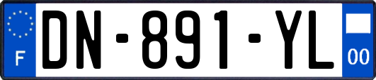 DN-891-YL