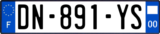 DN-891-YS