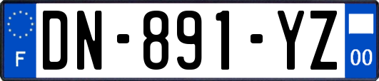 DN-891-YZ