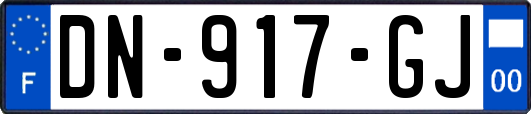 DN-917-GJ