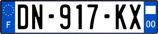 DN-917-KX