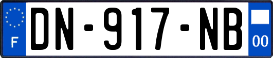 DN-917-NB