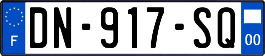 DN-917-SQ