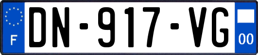 DN-917-VG