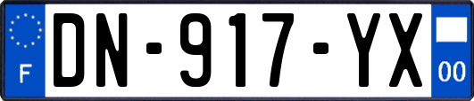 DN-917-YX