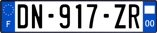 DN-917-ZR