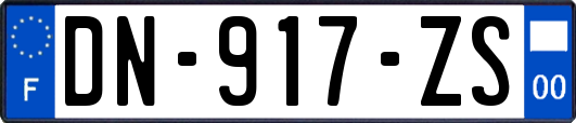 DN-917-ZS