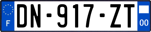 DN-917-ZT