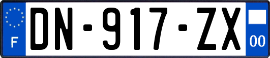 DN-917-ZX