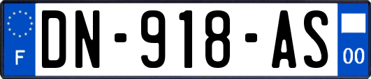 DN-918-AS