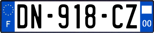 DN-918-CZ