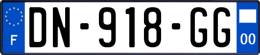DN-918-GG