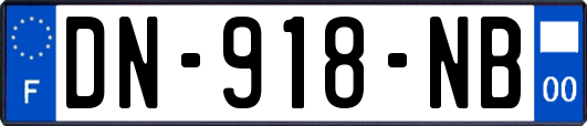 DN-918-NB