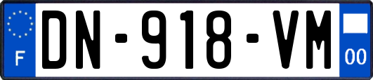 DN-918-VM