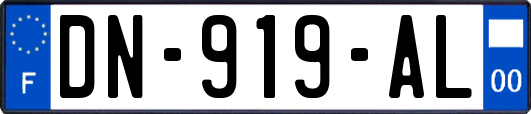 DN-919-AL