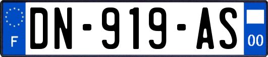 DN-919-AS