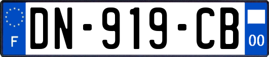 DN-919-CB