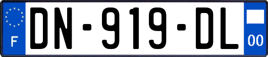 DN-919-DL