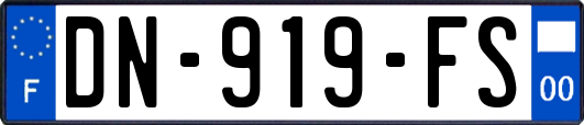 DN-919-FS