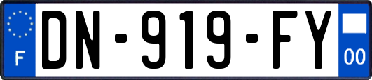 DN-919-FY