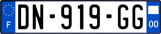 DN-919-GG