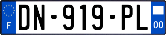 DN-919-PL