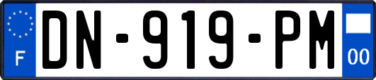 DN-919-PM