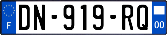 DN-919-RQ