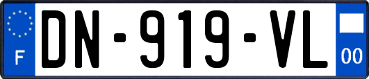 DN-919-VL