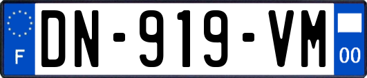 DN-919-VM
