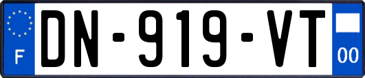DN-919-VT