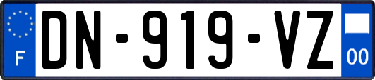 DN-919-VZ