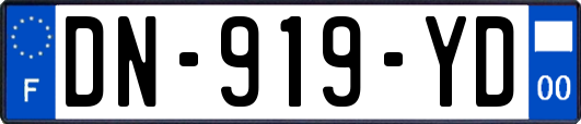 DN-919-YD