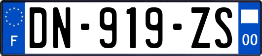 DN-919-ZS