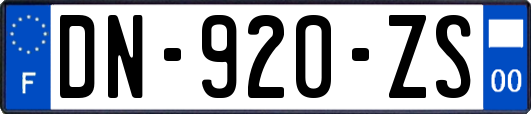 DN-920-ZS