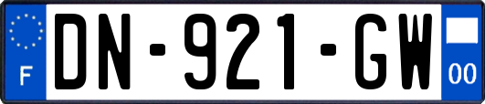 DN-921-GW