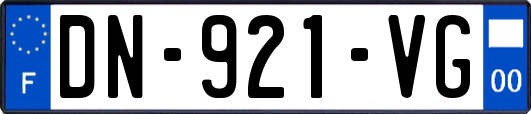 DN-921-VG