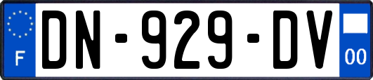 DN-929-DV