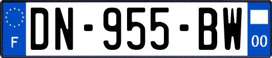 DN-955-BW