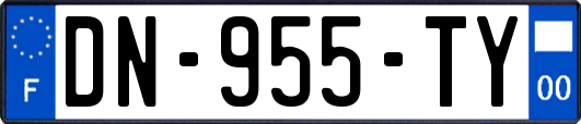DN-955-TY