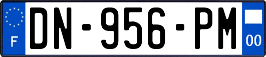 DN-956-PM