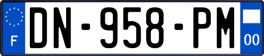 DN-958-PM