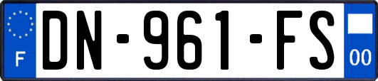 DN-961-FS