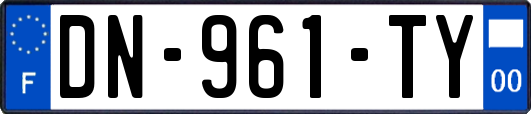 DN-961-TY