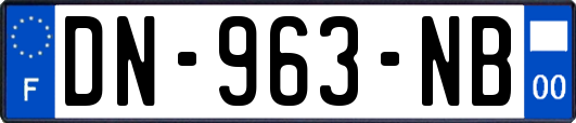 DN-963-NB