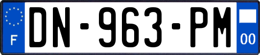DN-963-PM